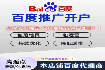 SEM运营推广策略：成功案例解析